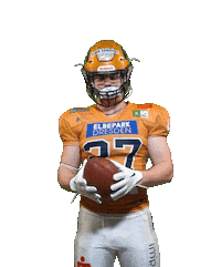 Football Sport Sticker by Dresden Monarchs