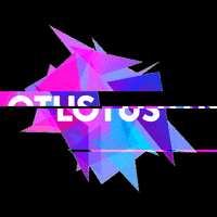 LotusPR lotus GIF
