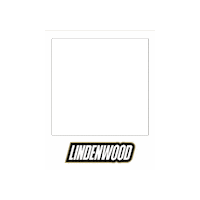 Athletics Lions Sticker by Lindenwood University