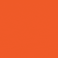 GIF by Sparkplug Coffee