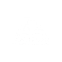 scalifrazn scalifra-zn scalifra scalifrazn rede scalifra Sticker