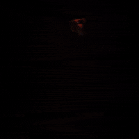 life time GIF by Jean Scuderi