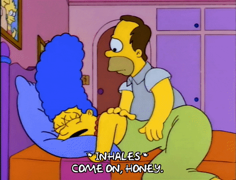 homer simpson GIF