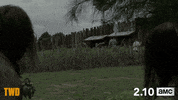 twd GIF by The Walking Dead