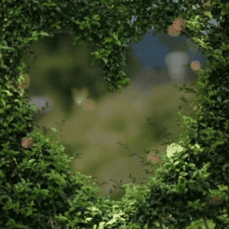 Relax Capybara GIF by TeaCosyFolk