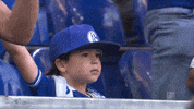 Veltins Arena Football GIF by FC Schalke 04