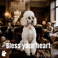 Sunglasses Condescending GIF by Woofzara