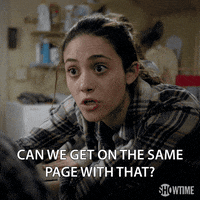 season 3 showtime GIF by Shameless