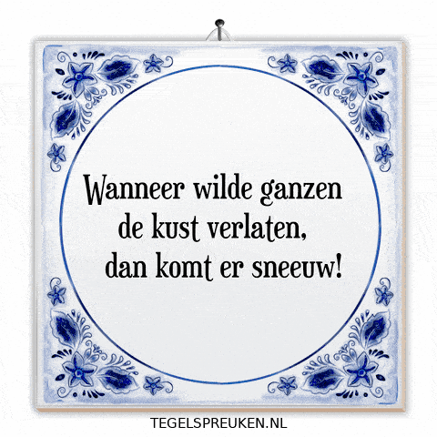 Winter Humor GIF by Tegelspreuken.nl