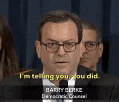 news impeachment inquiry steve castor barry berke GIF