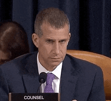news listening impeachment impeachment inquiry steve castor GIF