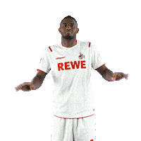 1 Fc Cologne Bundesliga Sticker by 1. FC Köln