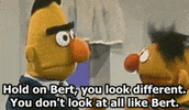sesame street 80s GIF