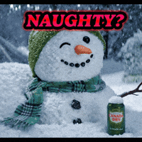 Naughty Or Nice GIF by Canada Dry Ginger Ale