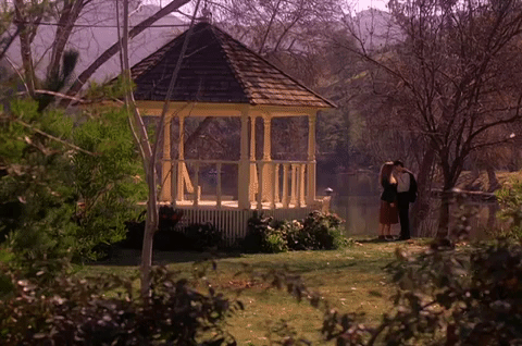 season 2 GIF by Twin Peaks on Showtime