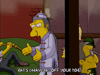 bart simpson GIF