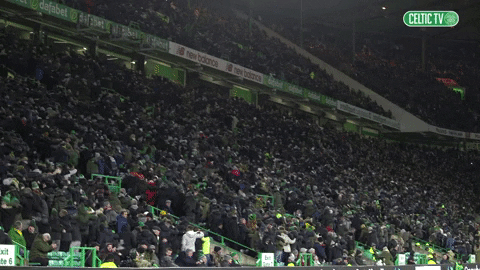 Get In There Celtic Fc GIF by Celtic Football Club