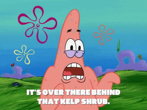 season 6 porous pockets GIF by SpongeBob SquarePants