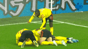 Watford Astonvilla GIF by MolaTV