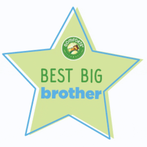 comfortsforbaby giphygifmaker comfortsforbaby krogercomforts bigbrother brother bigbrother GIF
