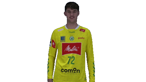 Handball Gwdminden Sticker by GWD Minden Handball-Bundesliga GmbH & Co.KG