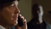 GIF by The Blacklist