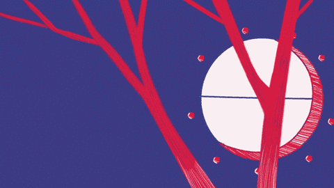 GIF by Zezaz