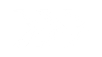 FYFT arrow arrows way flashing Sticker
