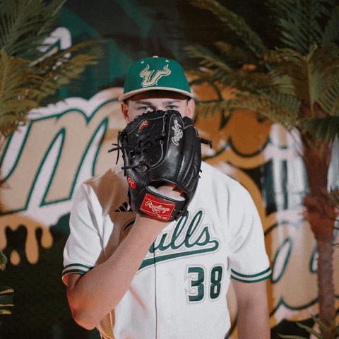 South Florida Baseball GIF by USF Athletics