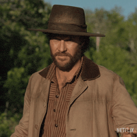 Bring Them Home Little House On The Prairie GIF by NETFLIX