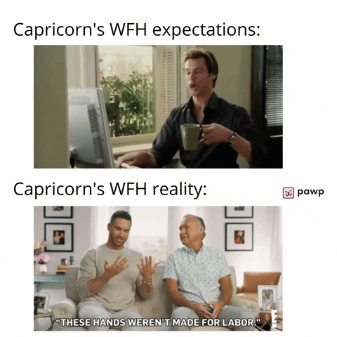 mypawp giphyupload GIF