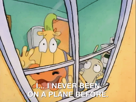 rockos modern life nicksplat GIF