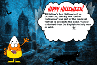 Black Cat Halloween GIF