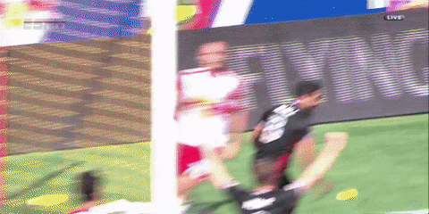 soccer mls GIF by D.C. United
