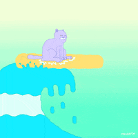 Missing Animation Domination GIF by gifnews