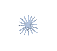 Star Sticker by Christy Sports