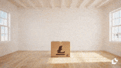 Lifestyle Apparel GIF by LitVM