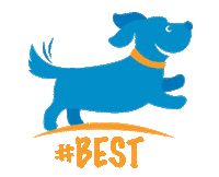 Best Friends Dog Sticker by Wags & Wiggle OC
