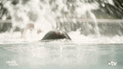 Summer Swimming GIF by Un si grand soleil