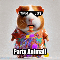 Guinea Pig Party GIF by Guinea Gambino