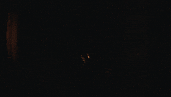 music video dance GIF by tomcjbrown