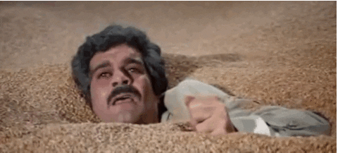 omar sharif GIF