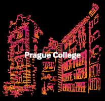 PragueCollege prague college praguecollege GIF
