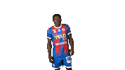 Football Chateauroux Sticker by La Berrichonne de Châteauroux