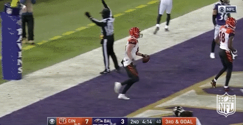 Cincinnati Bengals Football GIF by NFL