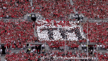 Ohio State Osu GIF by Ohio State Athletics