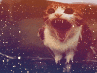 Angry GIF