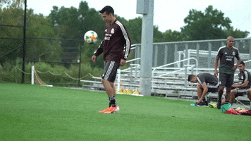 Hirving Lozano Soccer GIF by MiSelecciónMX
