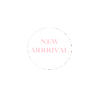 Naardenbussum Sticker by Sharon's Boutique