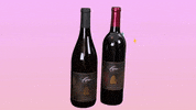 LeahVanDale cheers wine drinks salute GIF